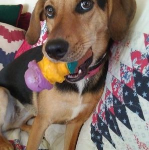 Meet your Posher, Debbie